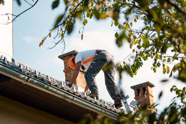 Roof Repair Estimates in Laguna Hills, CA